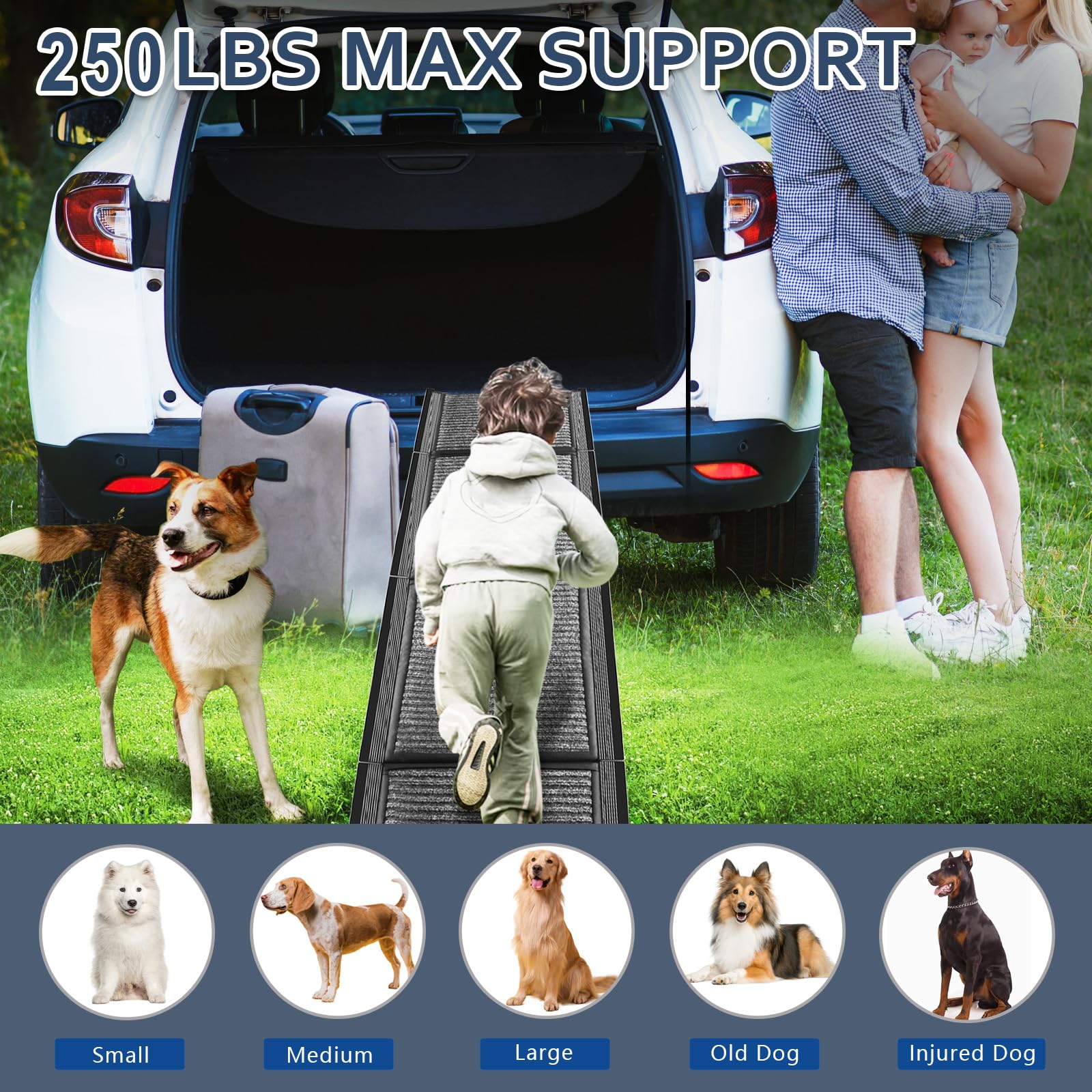 Heavy Duty Folding Dog Ramp for Cars, Trucks & SUVs - 63