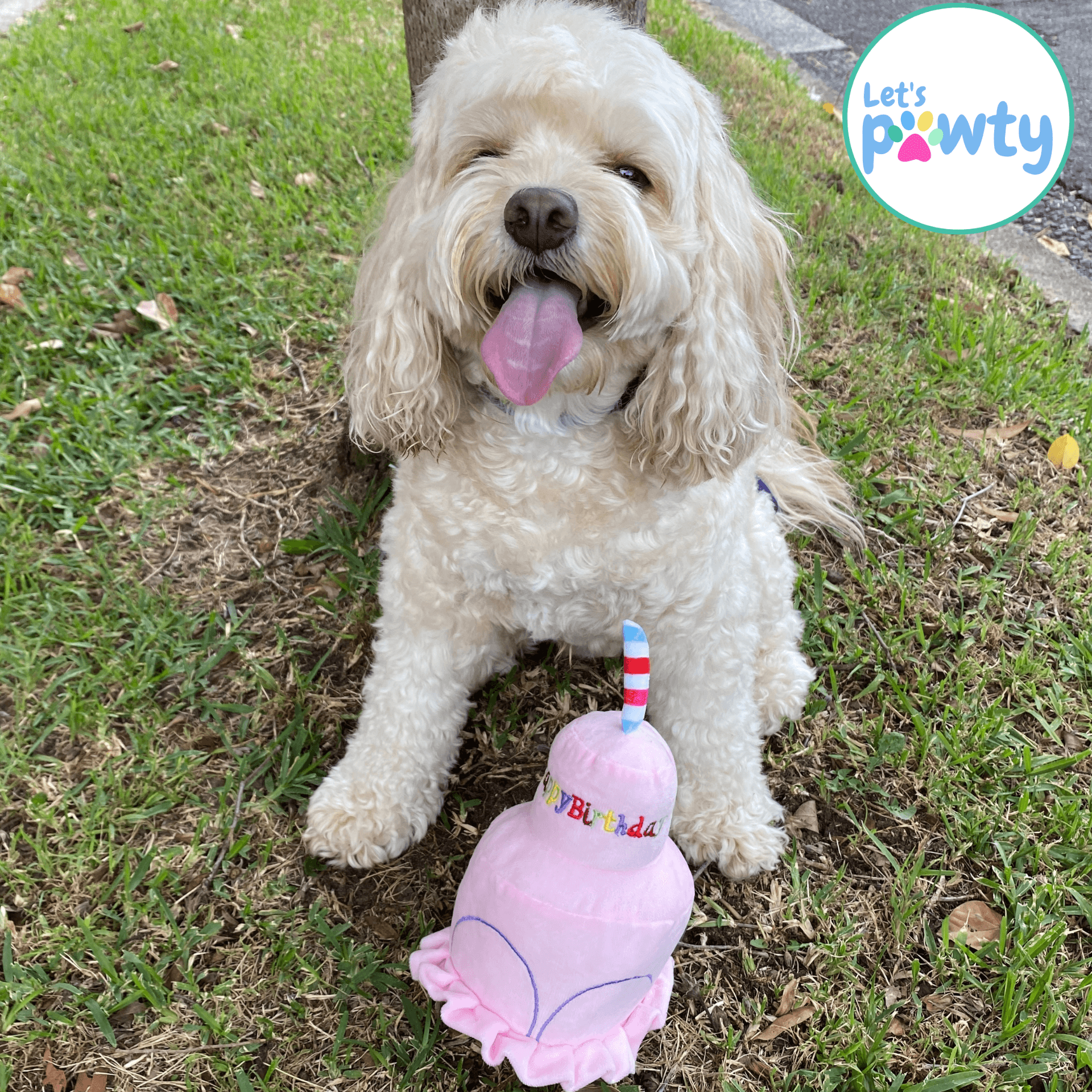 Happy Birthday Plush Dog Toy - Cute & Soft Stuffed Animal Gift for Dog Lovers - Perfect for Birthday Parties & Pet Celebrations