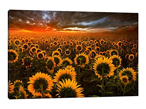 Sunflower Artwork-02
