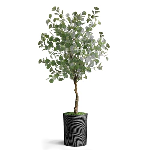 Geometric Spiral Pattern Planter