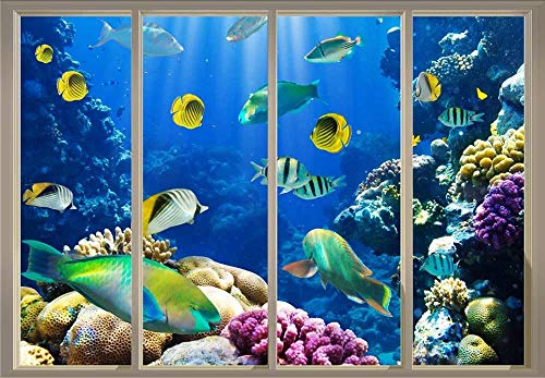 Colorful Striped Fish Swimming Over Colorful Coral Reefs