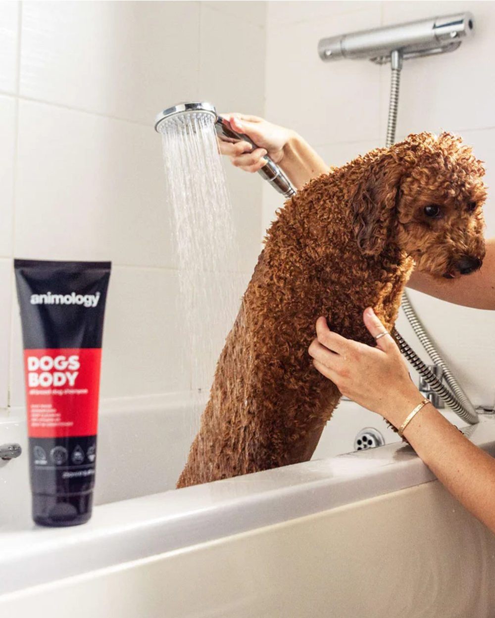 Animology Dogs Body Shampoo 250ml - Gentle Cleansing & Moisturizing Pet Shampoo for All Dog Breeds - Perfect for Bath Time & Grooming at Home