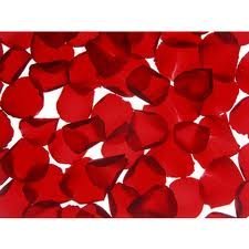 300 Premium Red Rose Petals - Natural Dried Flower for Wedding Decor, Romantic Proposal, Bath Soak & DIY Crafts (Free Shipping)