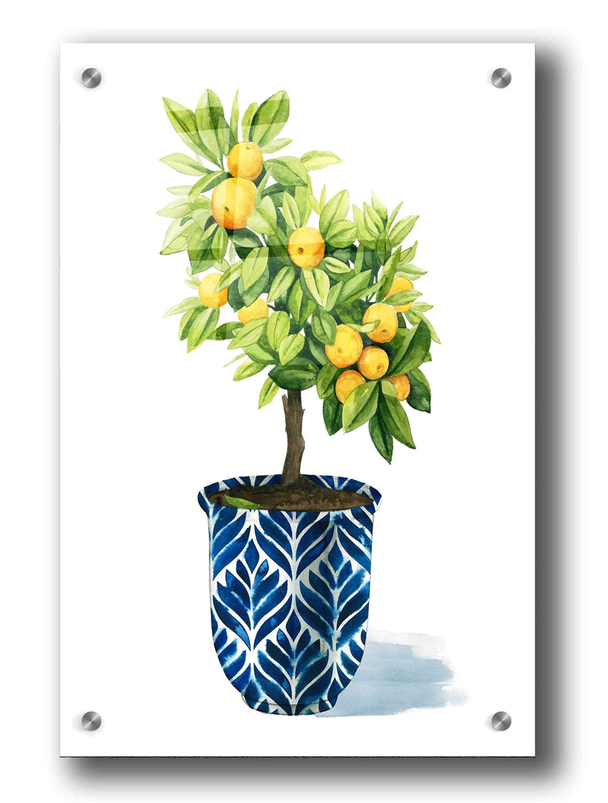 Grace Popp 'Fruit Tree I' Acrylic Glass Wall Art Print - 24x36 Inches Modern Home Decor for Living Room, Bedroom & Office