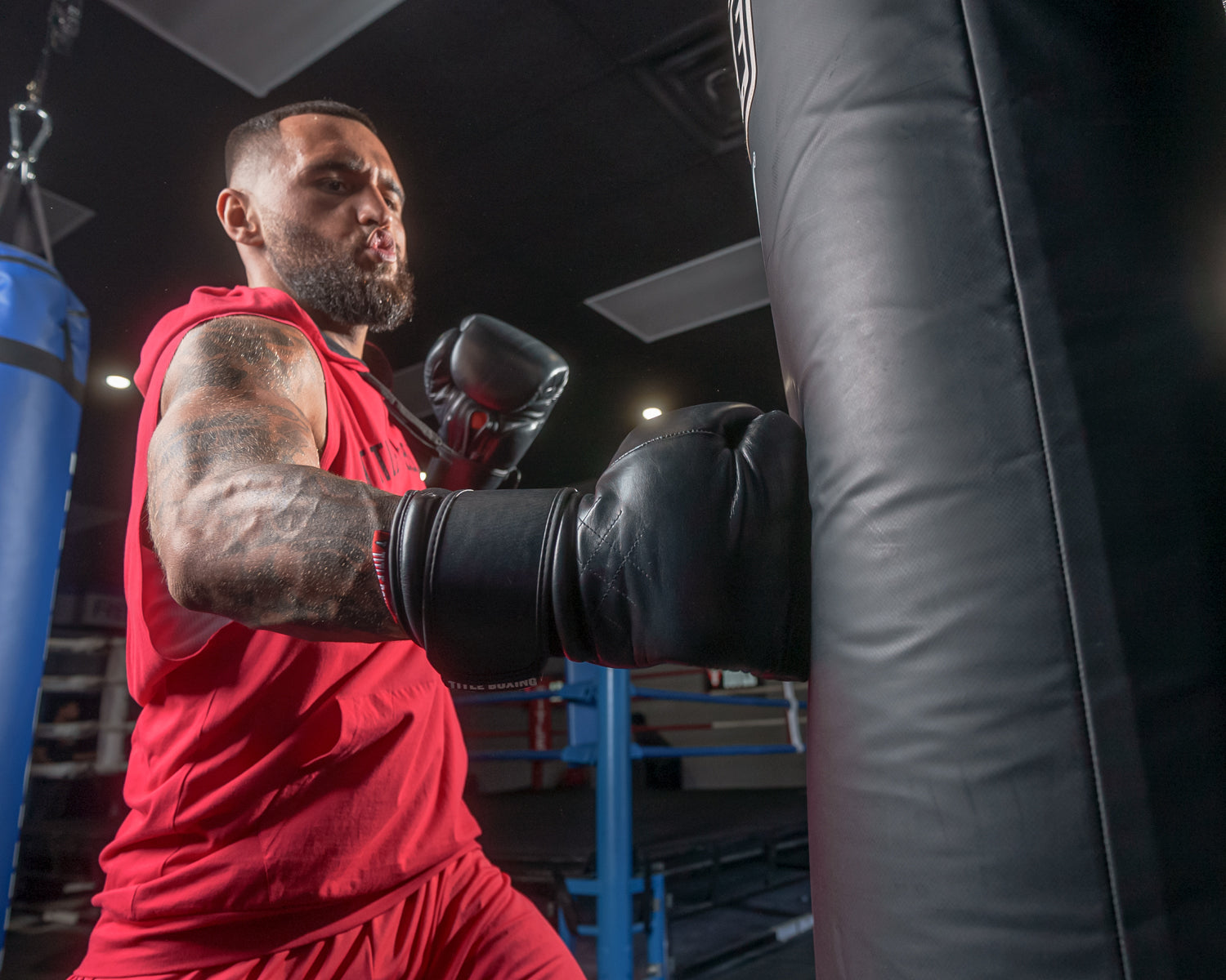 TITLE Boxing Ko Vert Training Boxing Gloves - Premium MMA & Kickboxing Gloves for Men & Women - Perfect for Sparring, Bag Work & Fitness Training
