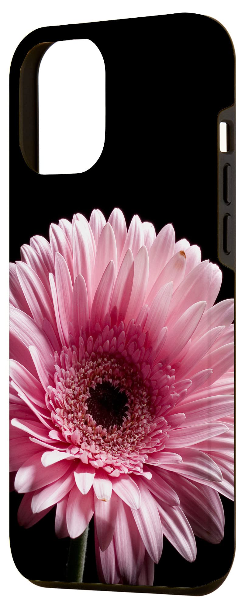 iPhone 12 Pro Max Case - Pink Gerber Daisy Floral Design, Slim Protective Cover for Women Girls | Perfect for Daily Use, Work, Travel & Gift Giving