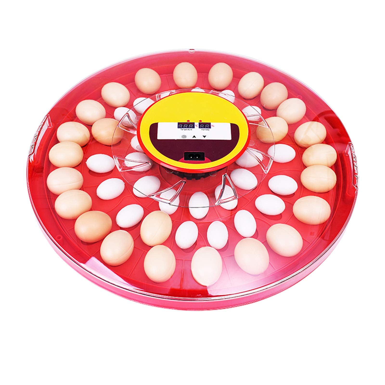 ZFF 30 Egg Digital Poultry Incubator - Automatic Temperature Control Hatcher for Chicken, Duck, Quail & Pigeon Eggs - Home Use Brooder with Clear Observation Window for Easy Monitoring - Perfect for Backyard Farming & Hobbyist Bird Breeding