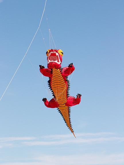 Giant Red Dragon Kite - Large Flying Dragon Kite for Outdoor Activities, Beach, Park & Festivals - Perfect for Kids and Adults