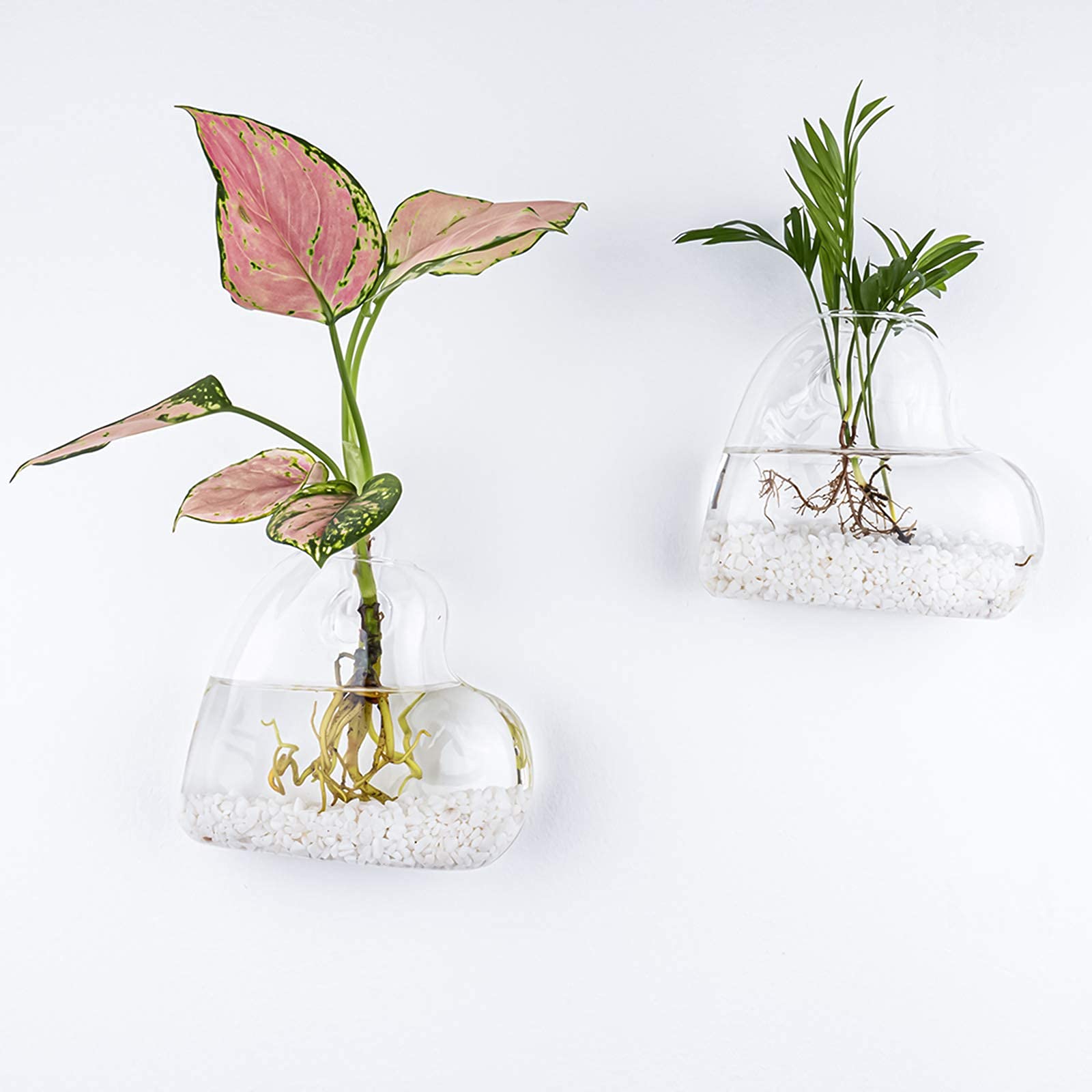 Kingbuy Glass Wall Hanging Planters - Air Plant Terrariums & Hydroponic Plant Containers for Home & Office Decor (Heart Vase + Large Cylinder) - Perfect for Indoor Gardens, Living Room Decor, and Gift Ideas