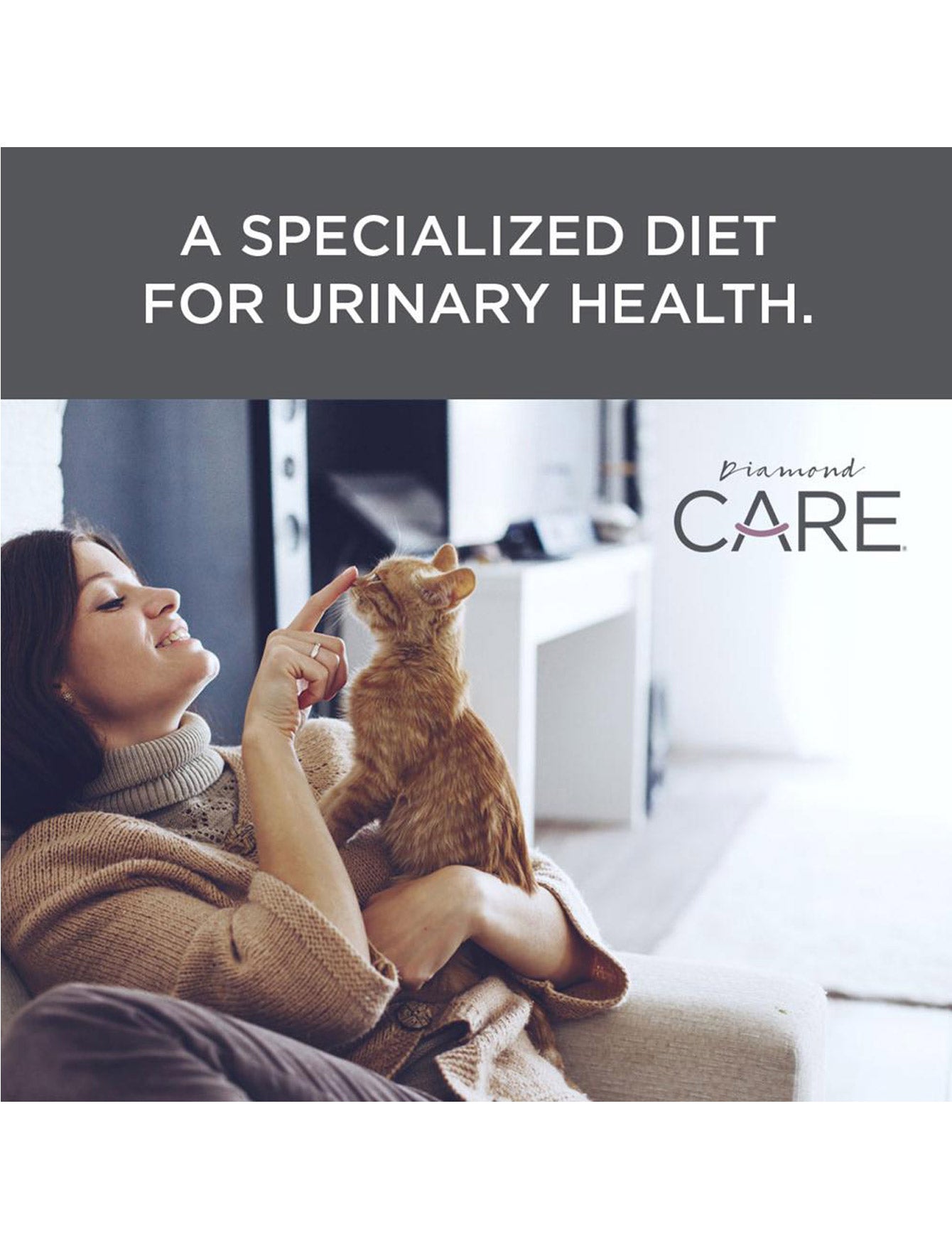 Premium Diamond Care Urinary Support Dry Cat Food for Adult Cats - 6lb Bag | Supports Urinary Tract Health | Ideal for Indoor Cats & Senior Felines
