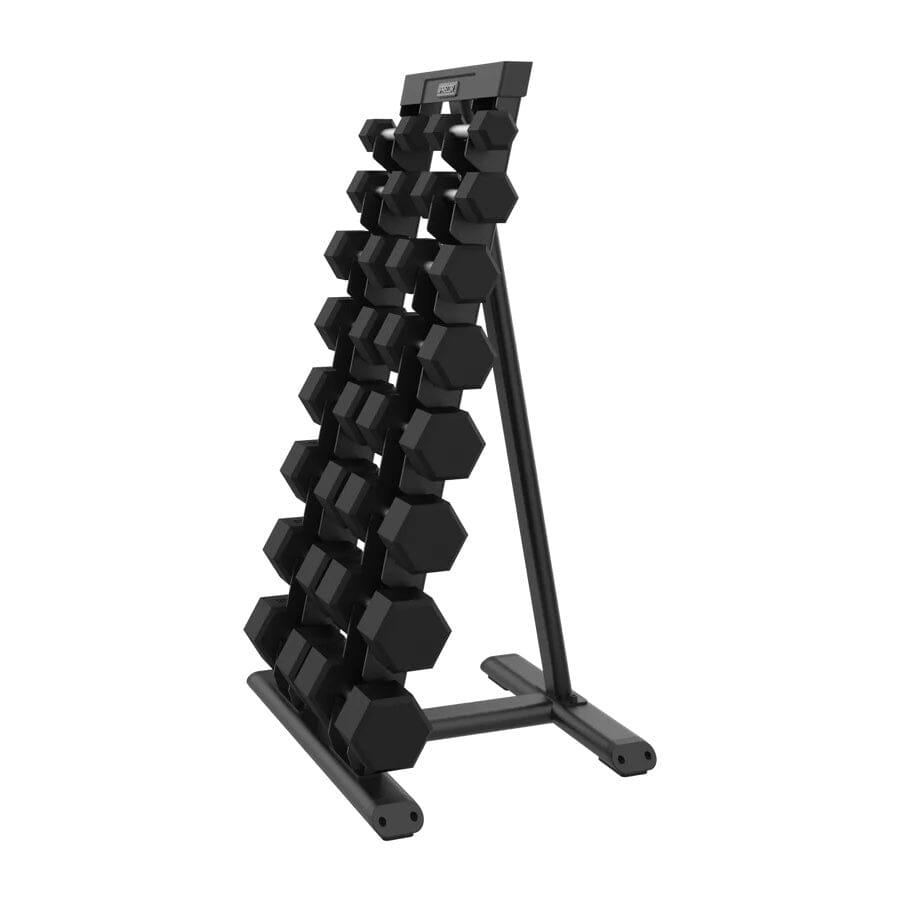 Precor Vitality Series Vertical Dumbbell Rack (VBR 6809) - Heavy Duty Gym Storage for Home & Commercial Use - Perfect for Weight Training & Fitness Equipment Organization
