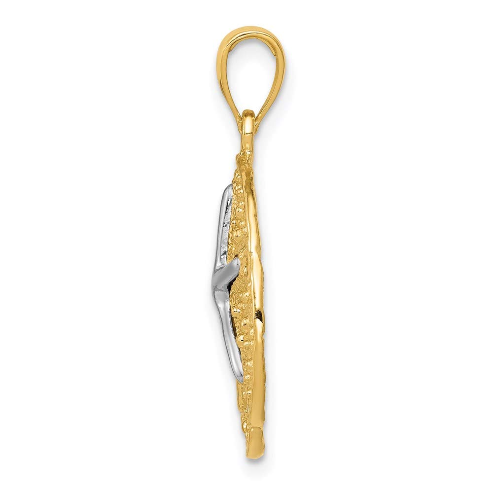 14k Gold Sand Dollar & Starfish Pendant - Beach Jewelry for Summer
