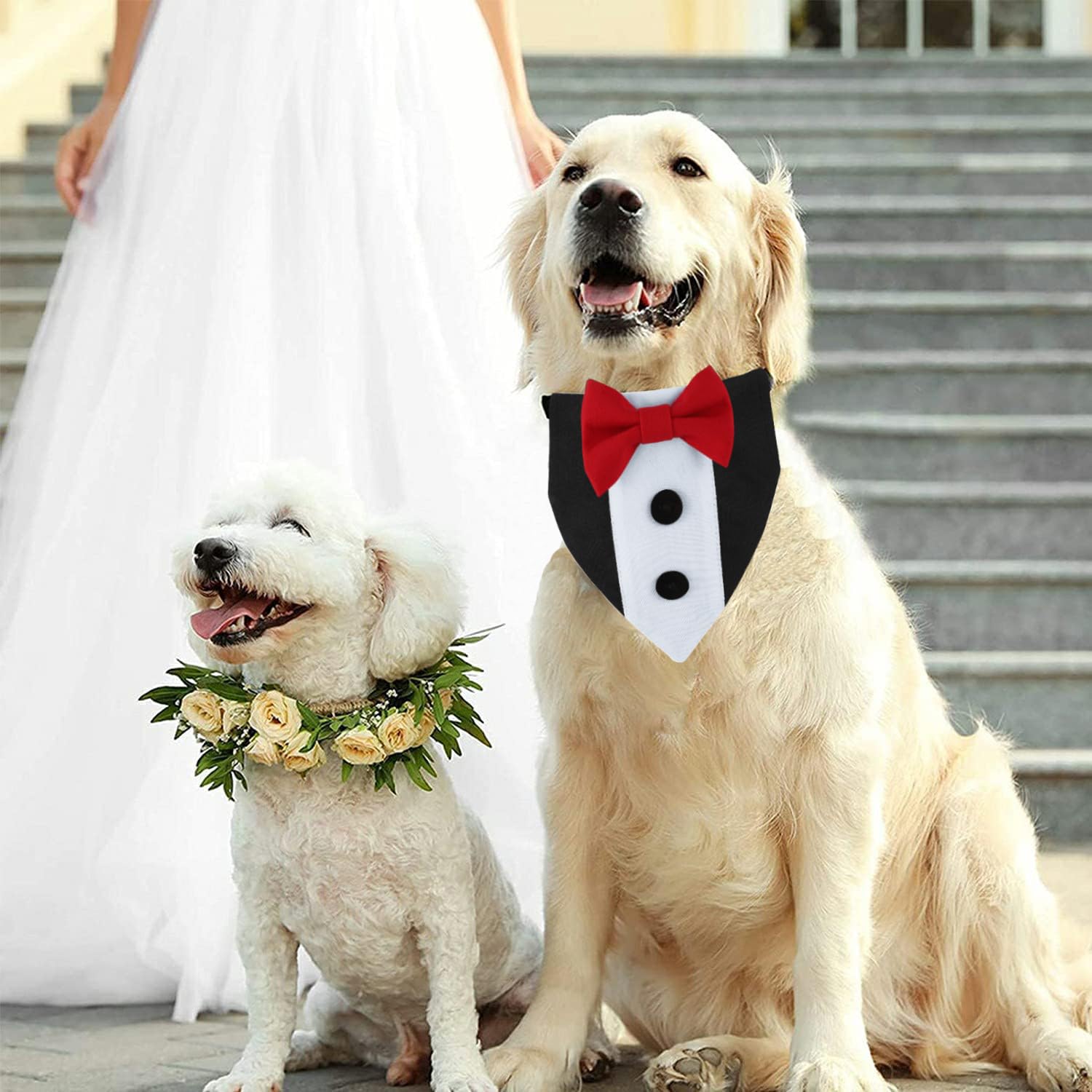 Dog Tuxedo & Adjustable Collar with Red Bow Tie - Formal Wedding & Birthday Outfit for Small, Medium & Large Dogs | Detachable Bow Tie & Scarf for Pet Weddings, Parties & Special Occasions
