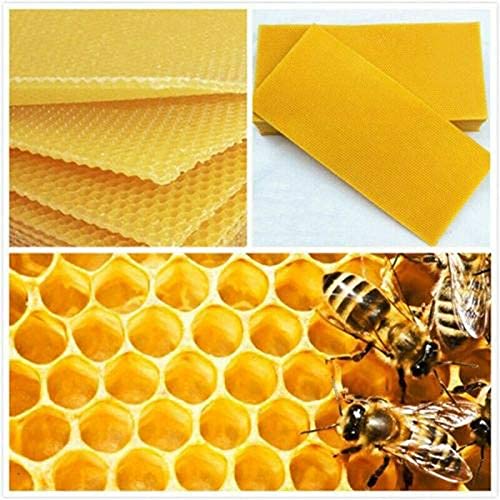 Premium Ubersweet® 10 Honeycomb Wax Frames - Beekeeping Foundation for Honey Production | Beehive Equipment & Supplies for Professional & Hobbyist Beekeepers | Perfect for DIY Honey Extraction & Hive Maintenance