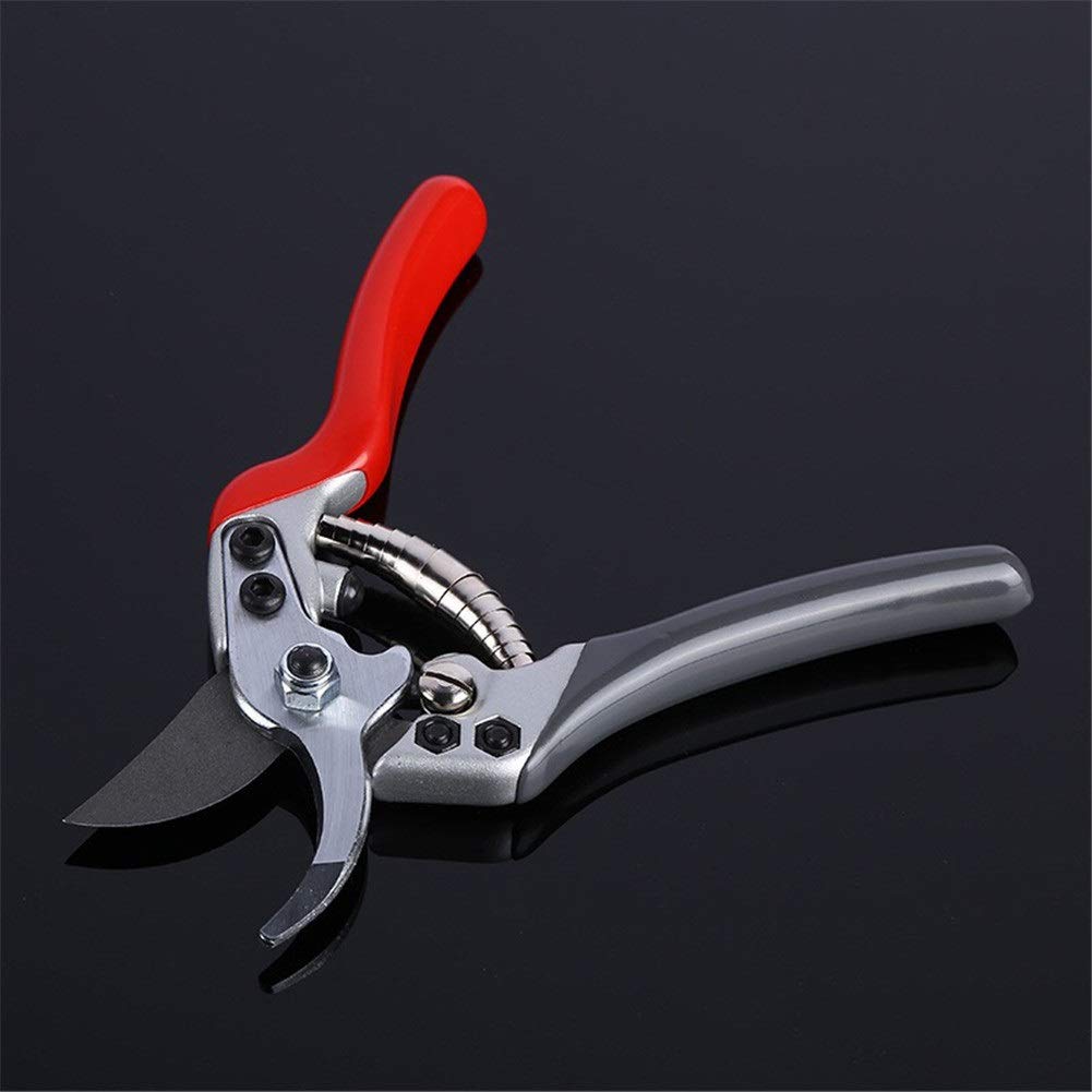 Premium Gardening Pruning Shears for Effortless Cutting - Heavy Duty Floral & Fruit Tree Branch Cutter - Perfect for Garden Trimming, Landscaping, and DIY Plant Care