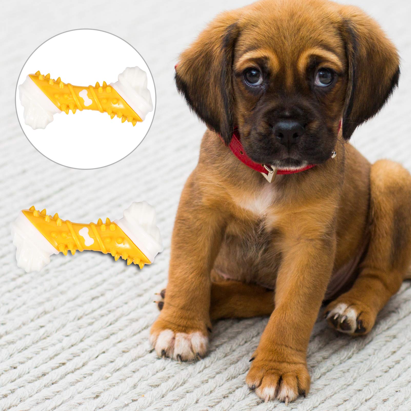 Balacoo Dog Chewing Toys for Teething Puppies - TPR Teeth Cleaning Bone Stick for Small Dogs - Durable Puppy Molar Toy for Dental Health - Perfect for Christmas Gifts & Playtime