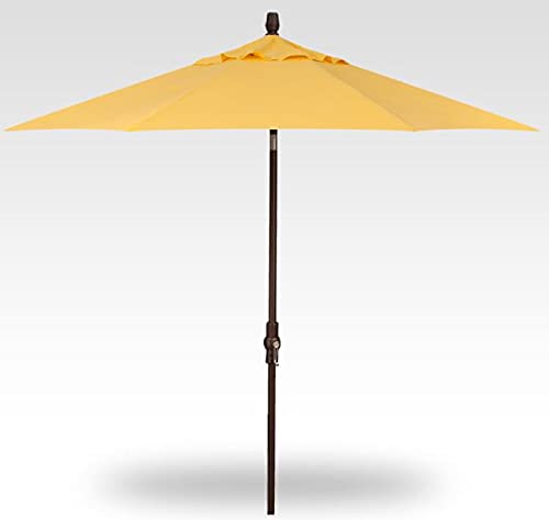 Obravia2 Lemon /Bronze Frame