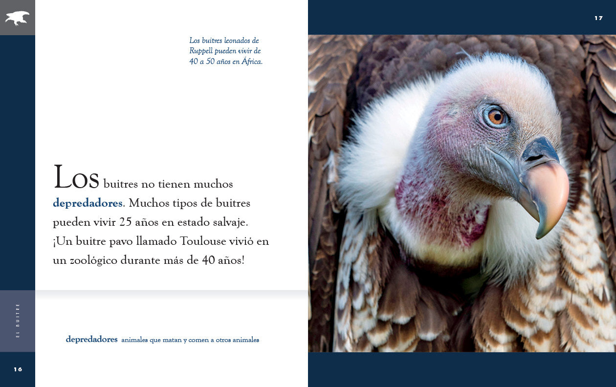 El Buitre 9781640266841 - Spanish Book for Kids, Wildlife & Nature Education - Perfect for Homeschooling & Classroom Learning