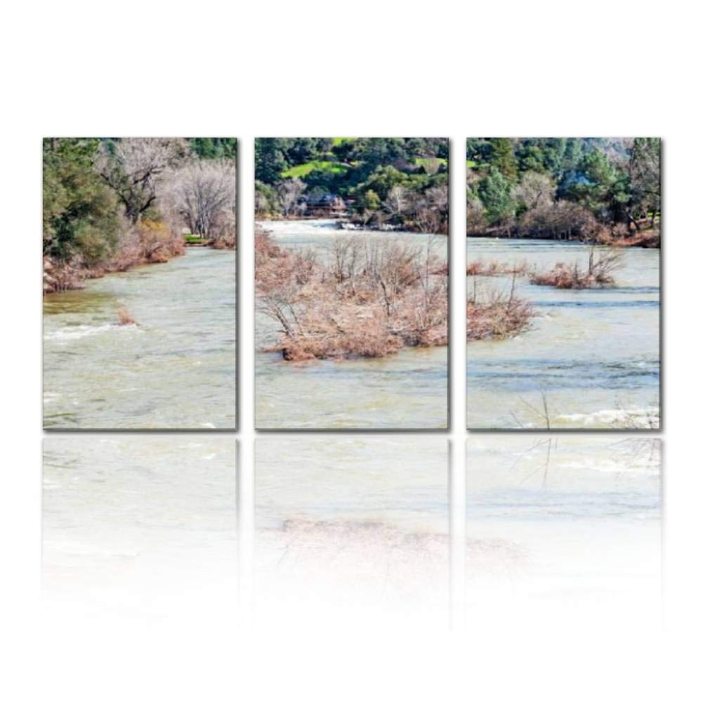 Gracelapin Modern Canvas Painting - American River High Water in Coloma with Rapids Landscape Art, Framed Wall Decor for Living Room, Bedroom & Office (16x24 Inches, Set of 3) - Perfect for Home Decoration, Housewarming Gifts & Interior Design