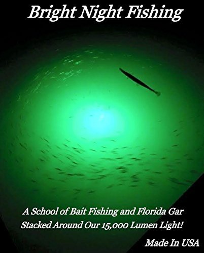 Underwater Fishing Lights - 300 Green LED Crappie Light with 15,000 Lumens | Fish Attractor & Boat Lights | 25ft Cord with Battery Clamps | Submersible Dock Light 12V DC for Night Fishing in Lakes, Ponds & Rivers