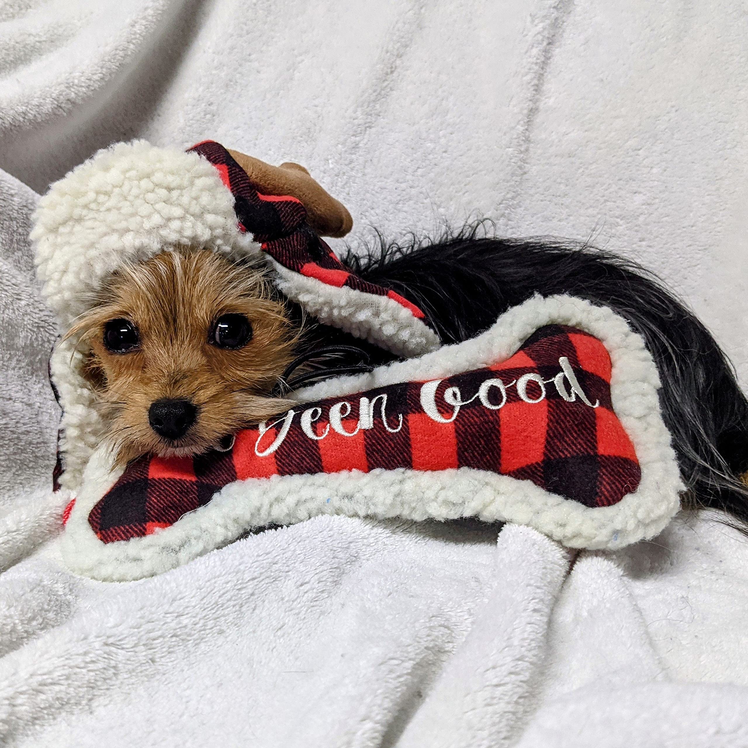 Huxley & Kent Squeaky Dog Toy - I've Been Good Bone (Small) | Funny Christmas Holiday Plush Toy for Dogs with Squeaker | Durable & Fun Pet Gift for Playtime, Training & Holiday Celebrations