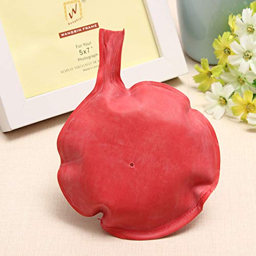 VIDOO Whoopee Cushion Prank Pet Pad - Funny Gag Toy for Jokes & Pranks - Perfect for Parties, Gifts, and Hilarious Surprises