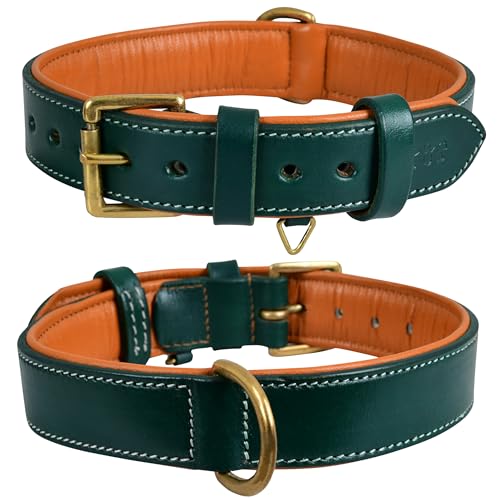 Teal Green