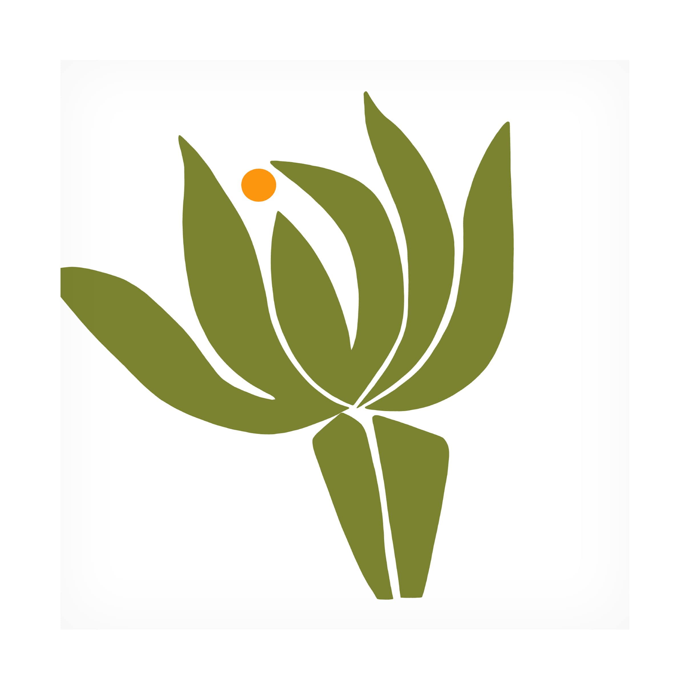 Trademark Fine Art 'Protea' Canvas Wall Art by Trish Sierer - Stunning Floral Painting for Living Room, Bedroom & Office Decor