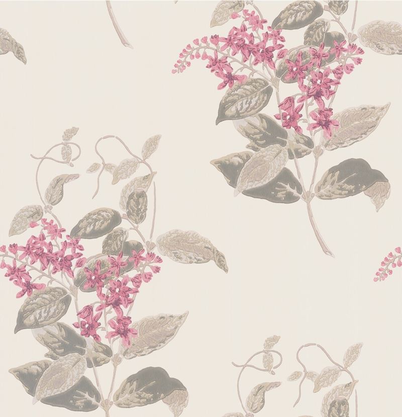 Cole & Son Madras Violet Wallpaper - Premium Peel & Stick Wallpaper for Living Room, Bedroom, and Home Decor