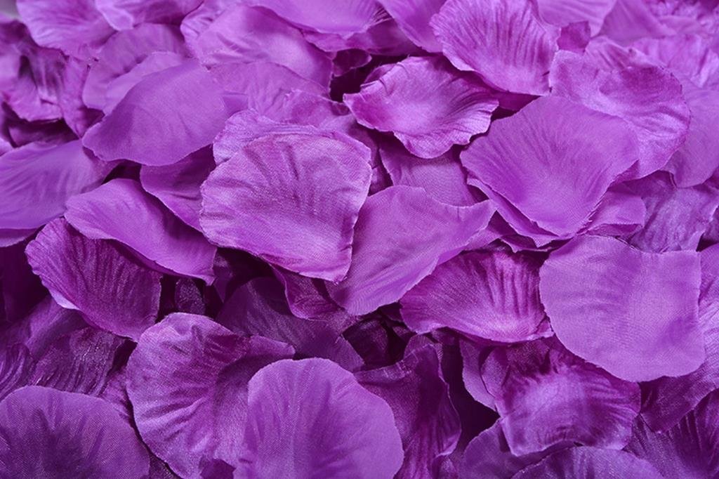 4000 Pcs Purple Silk Rose Petals - Premium Wedding Flower Decorations for Aisle, Table Scatter & Romantic Events