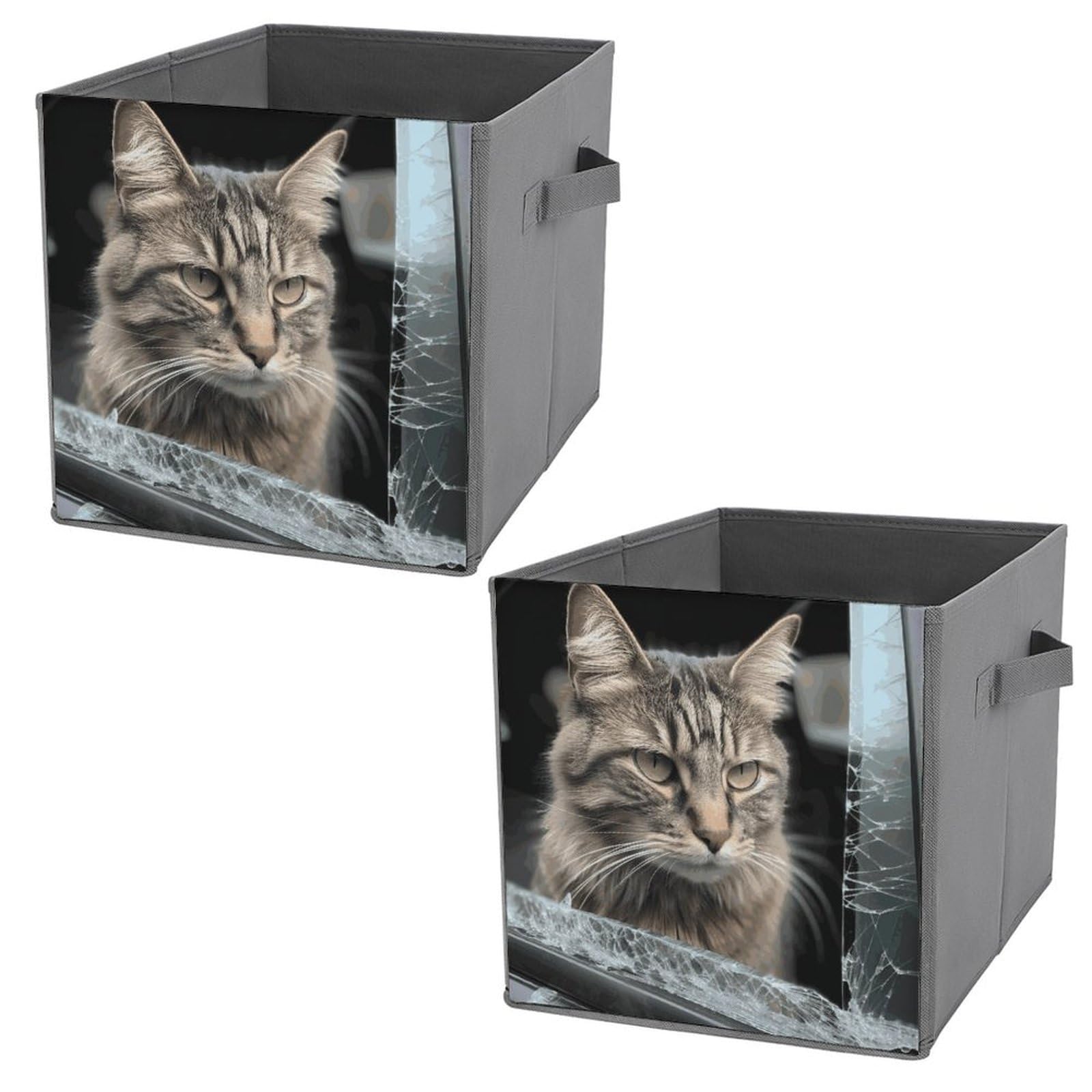 2 Pack Printed Storage Baskets & Bins - Durable Home Organization Containers with Cat Design | Perfect for Car, Closet & Pantry Organization
