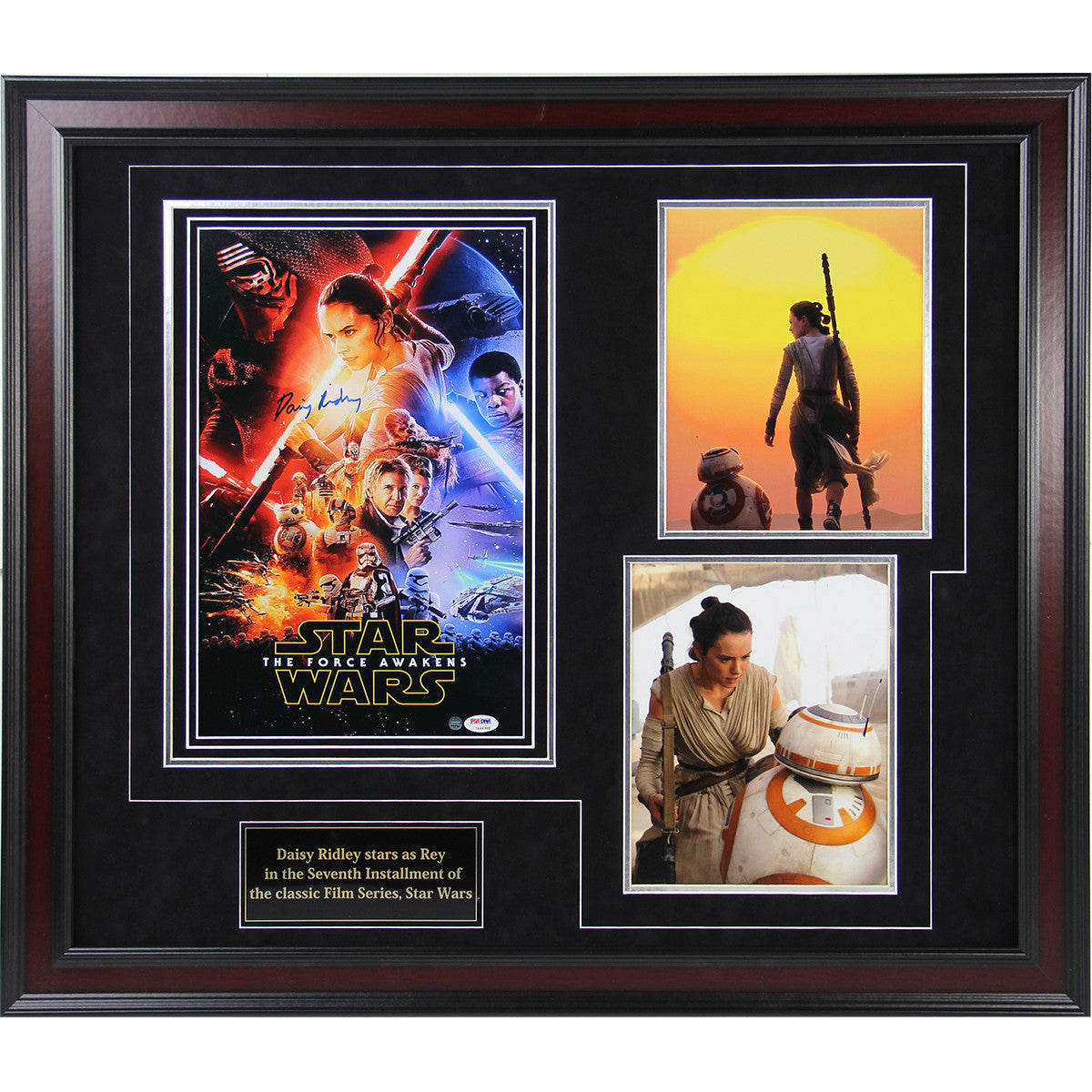 Daisy Ridley 3-Photo Movie Poster Collage with Nameplate - 24x28 Inches Wall Art for Star Wars Fans, Home Theater Decor, Gift for Movie Lovers