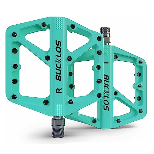 bian-chi green