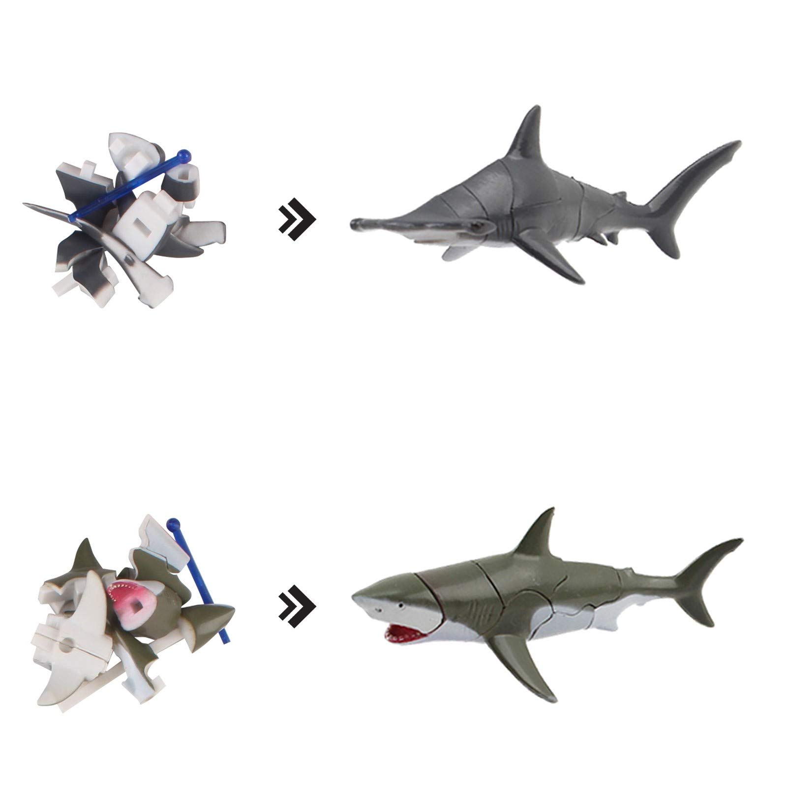 Vokodo Ocean Animal Building Toys - 6 Marine Species (Dolphin, Shark, Whale, Orca, Manta Ray) in Seashells - 3D Puzzle STEM Educational Toy for Kids - Perfect for Sea Life Learning, Birthday Parties & Classroom Activities