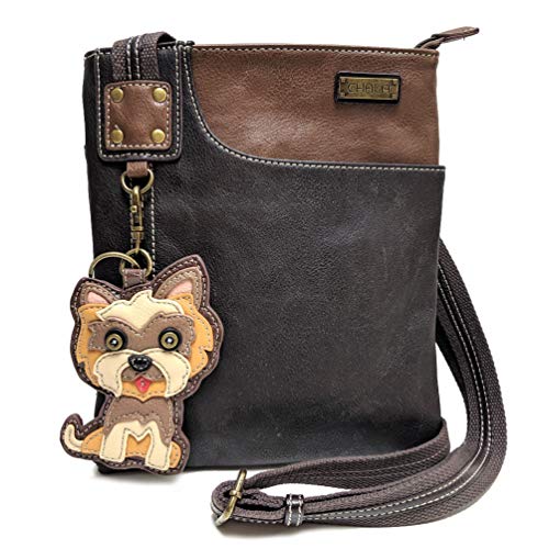 Brown_ Yorkie Terrier