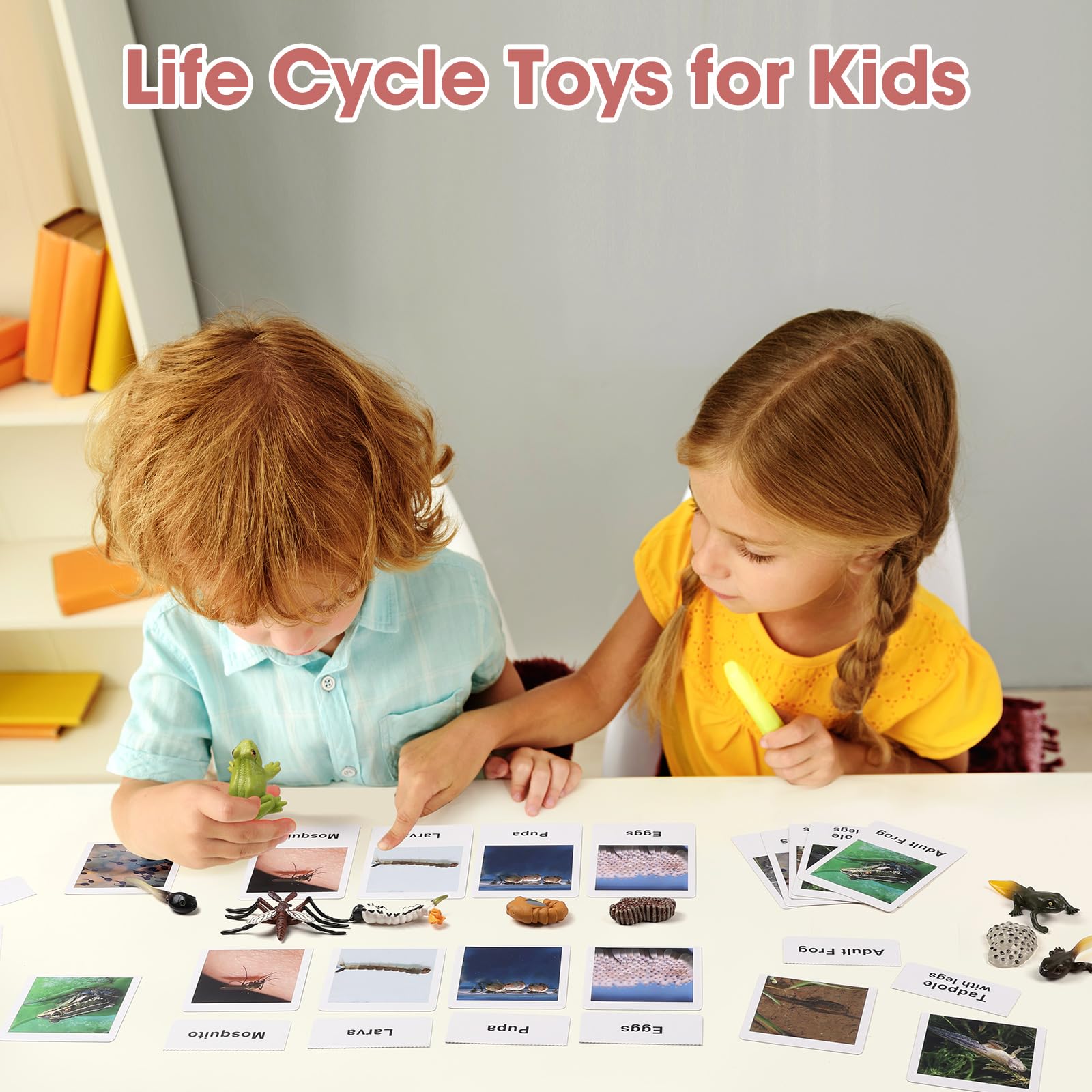 Live Tadpole to Frog Life Cycle Educational Toys for Kids 3-5 | Mosquito & Bug Figurines Set | Animal Matching Game for Toddlers | Preschool Science Learning Toys for Classroom & Homeschooling