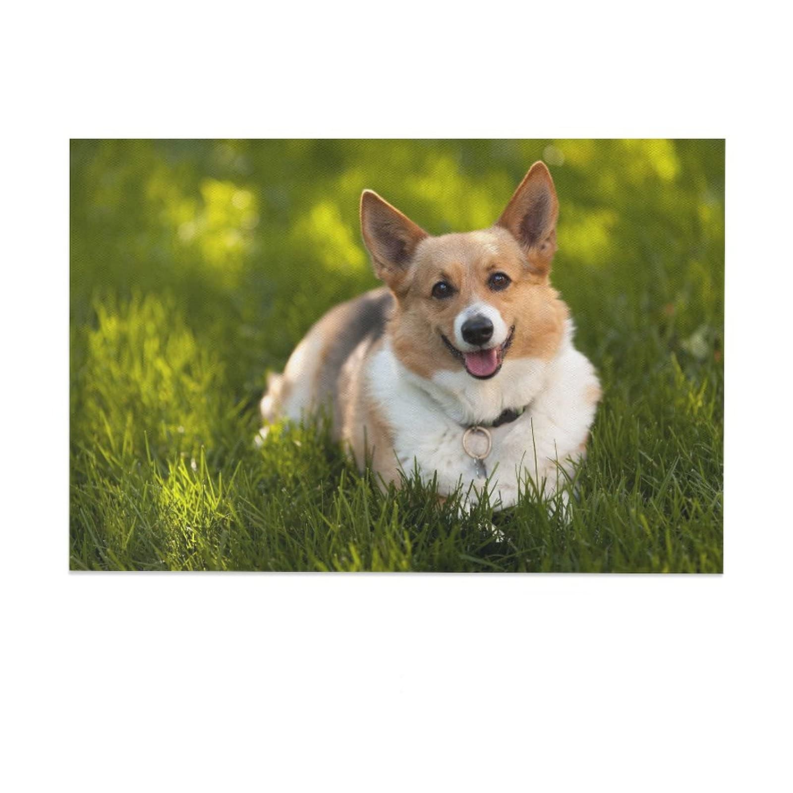 Cute Corgi Dog Poster - Animal Lovers Wall Art, Canvas Print for Bedroom, Office & Home Decor - Perfect Gift for Dog Owners (16x24 inches, 40x60cm) - Ideal for Living Rooms, Nurseries & Pet-Friendly Spaces