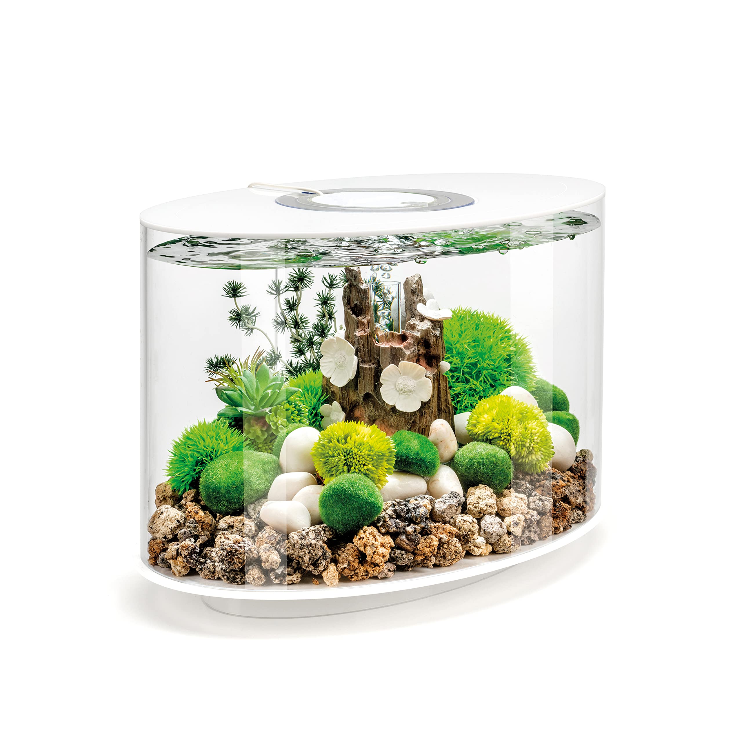 biOrb Loop 15 Acrylic 4-Gallon Aquarium with White LED Lights - Modern Compact Fish Tank for Tabletop or Desktop Display - White-Trimmed Tank - Perfect for Home, Office Decor & Small Space Aquascaping