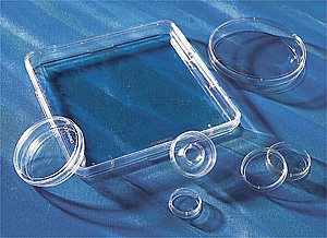 Corning 245mm Square BioAssay Dish - Non-Tissue Culture Treated, Bulk Pack (4/Bag, 16/Case) - Ideal for Laboratory Research, Cell Culture & Scientific Experiments