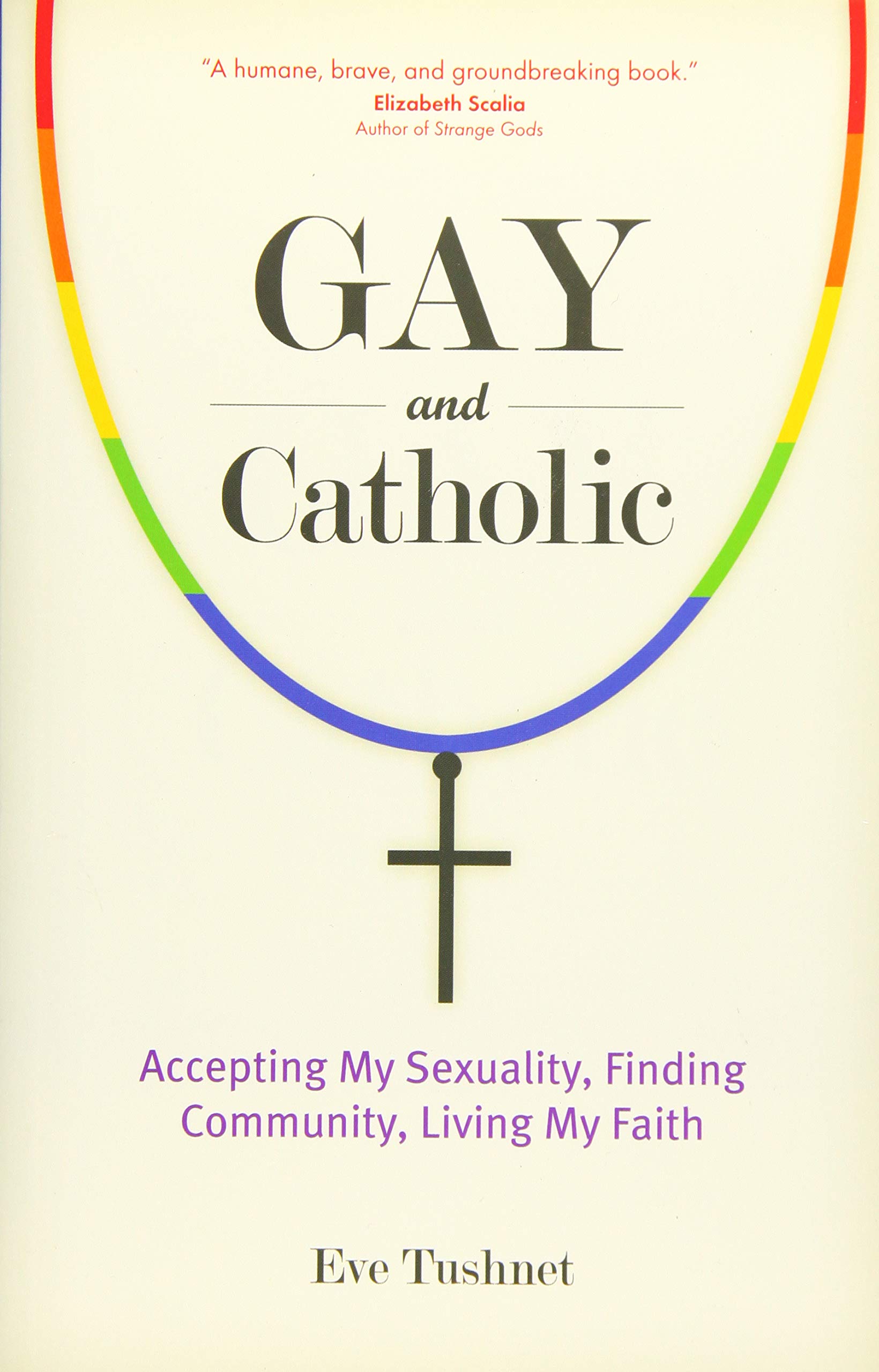 Gay and Catholic: Navigating Faith and Identity - Inspirational Book for LGBTQ+ Christians & Allies | Perfect for Personal Growth, Church Discussions & Support Groups