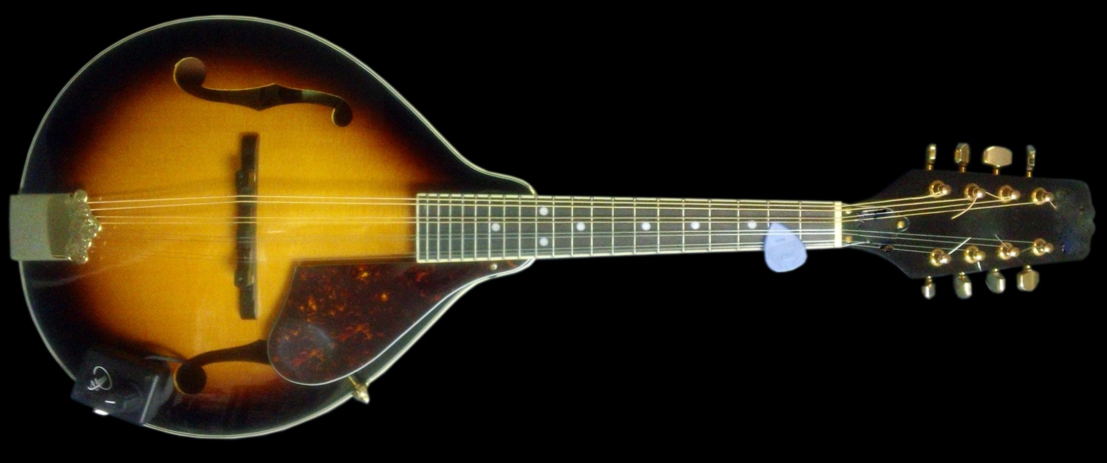 Myers Pickups Octave Mandolin Pickup with Flexible Micro-Gooseneck - Professional Acoustic Instrument Amplification for Live Performances & Studio Recording