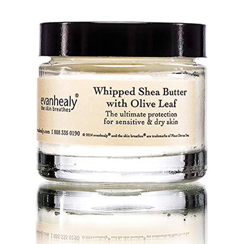 Evanhealy Whipped Shea Butter with Olive Leaf - Organic Natural Body Lotion for Dry & Sensitive Skin | Raw Shea Butter & Coconut Oil Moisturizer for Face, Hands & Body | Perfect for Daily Hydration & Night Care Routine
