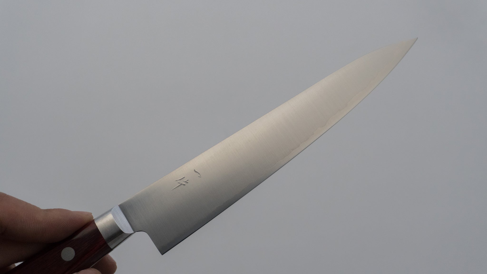 Hitohira TP Petty 150mm Japanese Stainless Steel Kitchen Knife with Wine Pakka Handle - Perfect for Slicing, Peeling & Precision Cutting Fruits, Vegetables & Boneless Meat