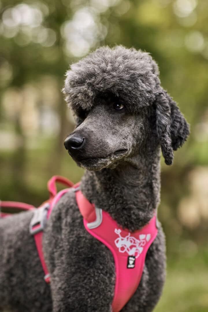 Hurtta Weekend Warrior Dog Harness - Adjustable No-Pull Vest for Medium & Large Dogs (24-32 inch Chest) - Reflective & Padded for Comfort - Perfect for Hiking, Running & Outdoor Adventures