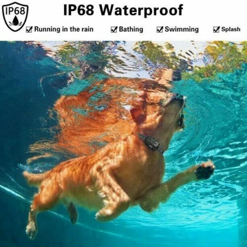 Waterproof Dog Training Collar - Shock & Vibration Remote Control for Small Medium Large Dogs - Adjustable & Rechargeable for Outdoor Walking Hunting Swimming