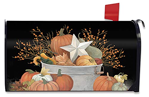 12 - Fall Bushel