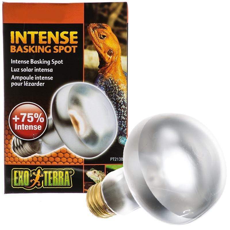 Exo Terra Intense Basking Spot Lamp - 100W Reptile Heat Bulb for Terrariums & Vivariums - Perfect for Bearded Dragons, Turtles & Lizards - Provides Optimal Basking Temperature for Healthy Reptiles - Ideal for Desert & Tropical Habitat Setups