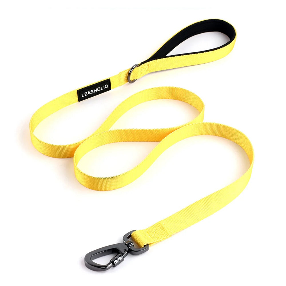 Premium Classic Comfort Dog Leash - Durable & Adjustable Pet Walking Lead for Small Medium Large Dogs - Perfect for Daily Walks, Jogging & Outdoor Adventures