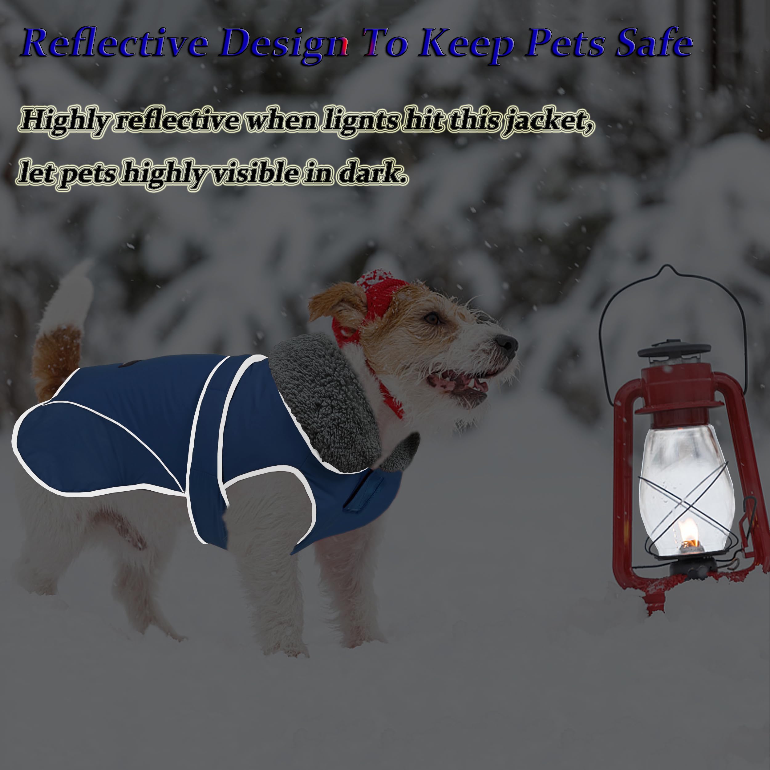 Dogcheer Waterproof & Reflective Winter Dog Jacket - Warm Fleece Coat with Turtleneck & Leash Hole for Small Medium Large Dogs | Cozy Snowsuit for Cold Weather, Outdoor Walks & Winter Adventures - Blue, Size L