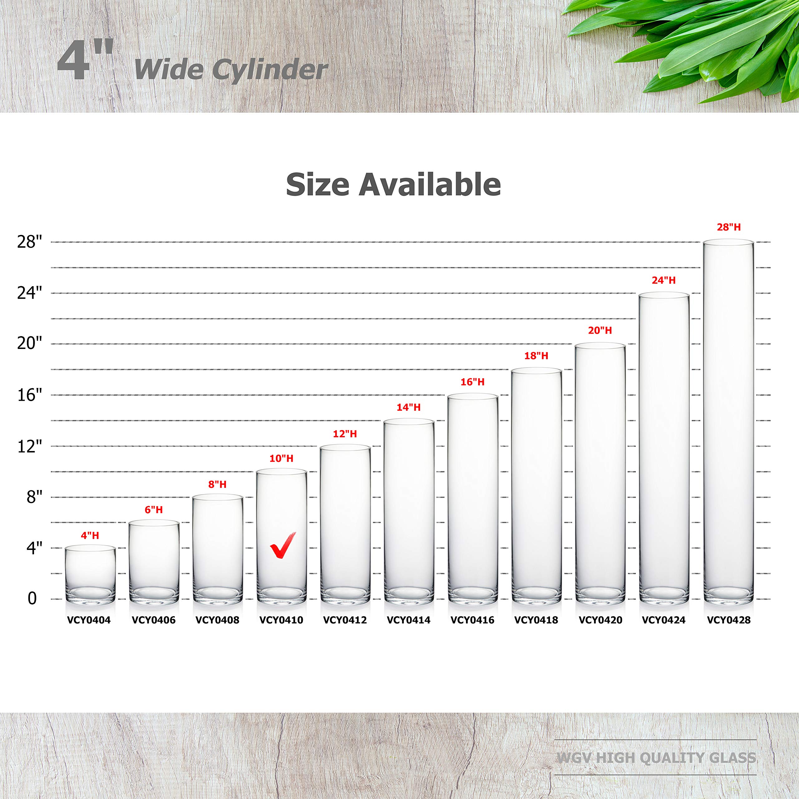 Premium Weighted Clear Glass Cylinder Vases - 4
